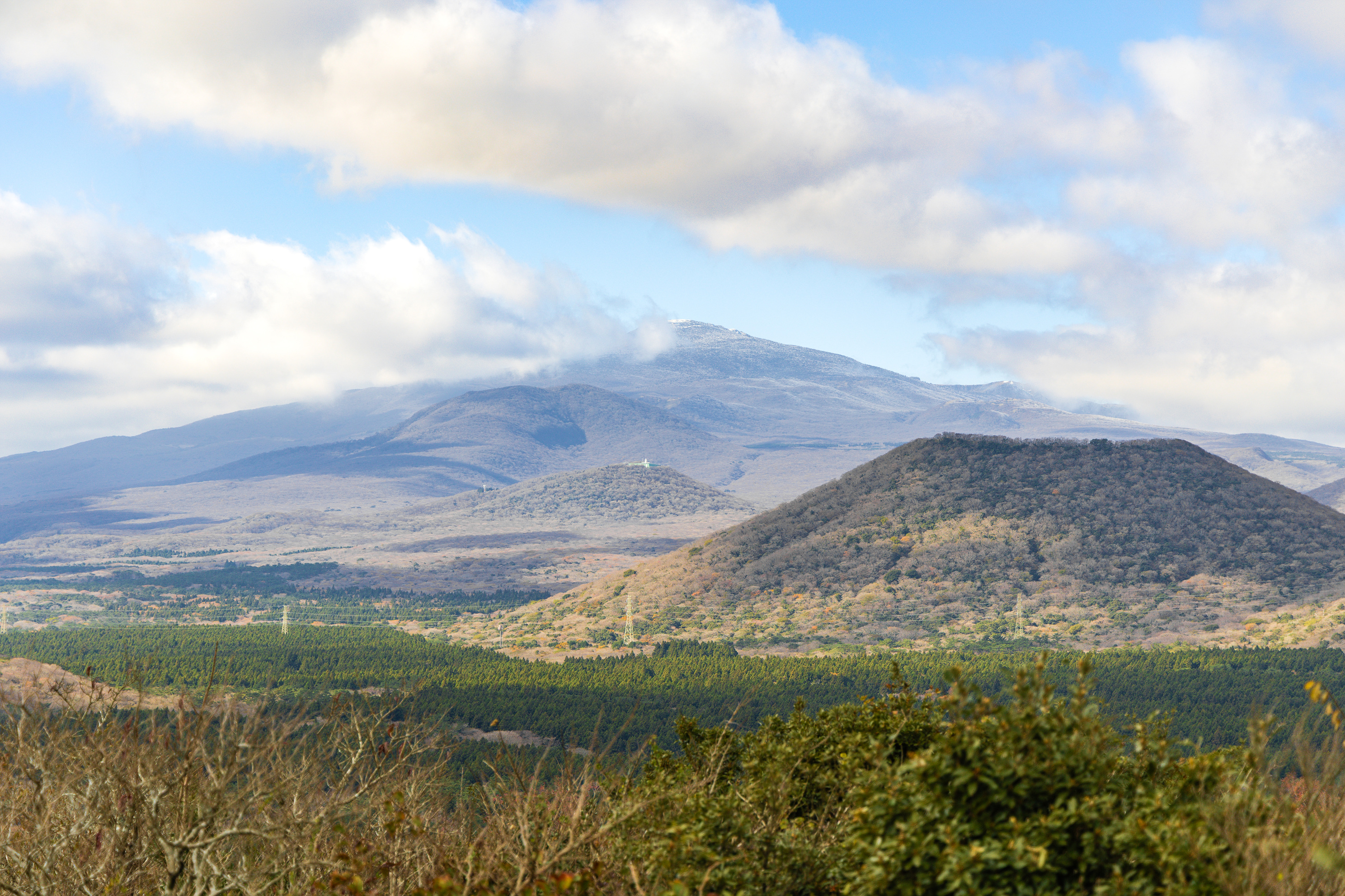 붉은오름 자연휴양림 숲속 야영장 19번째 이미지