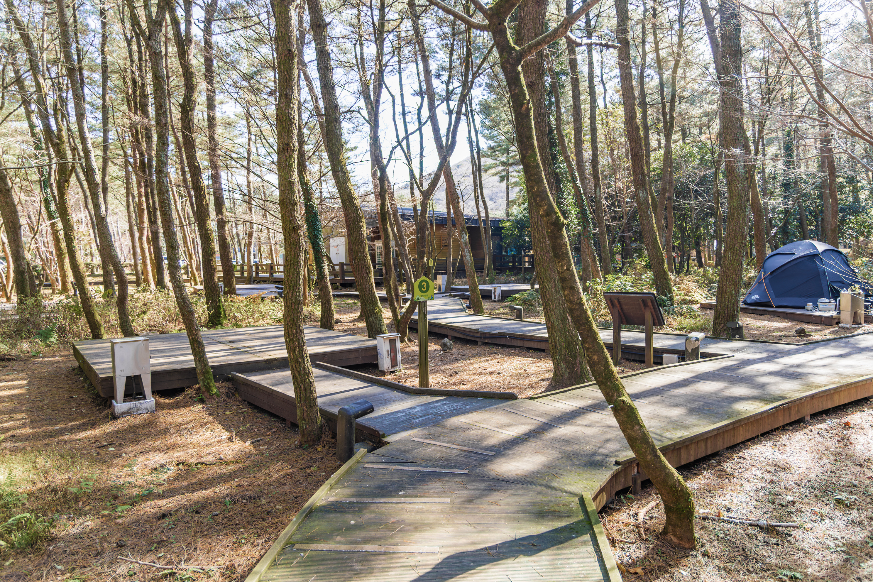 붉은오름 자연휴양림 숲속 야영장 28번째 이미지