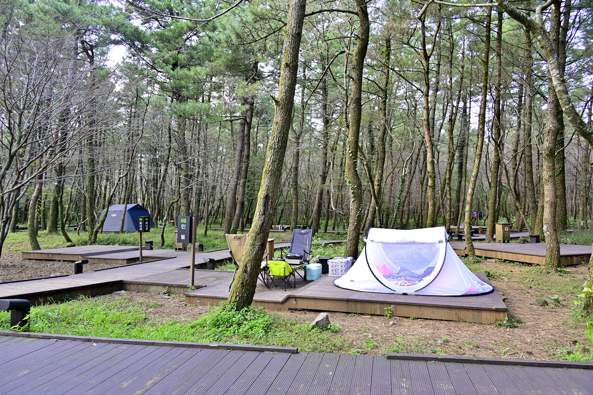 붉은오름 자연휴양림 숲속 야영장 48번째 이미지