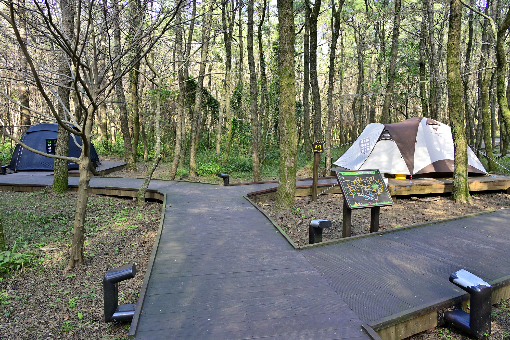 붉은오름 자연휴양림 숲속 야영장 47번째 이미지