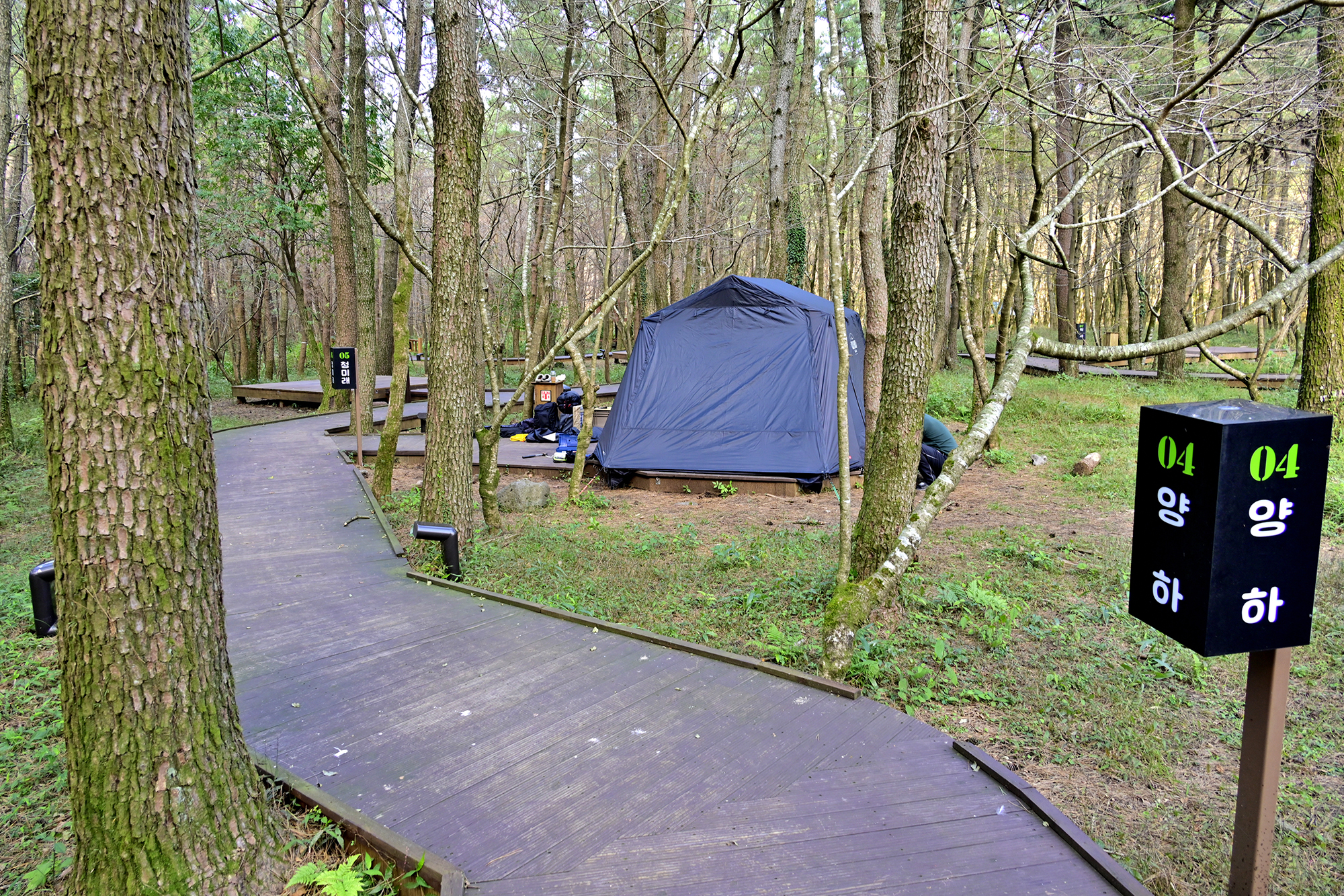 붉은오름 자연휴양림 숲속 야영장 9번째 이미지