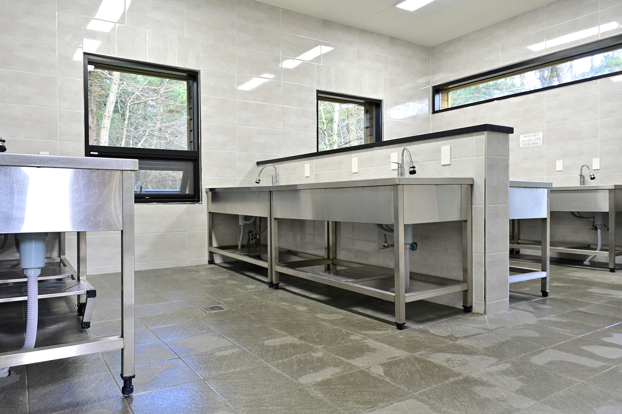 붉은오름 자연휴양림 숲속 야영장 17번째 이미지