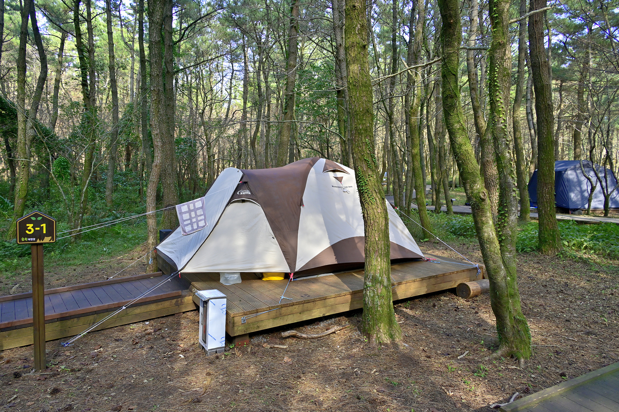 붉은오름 자연휴양림 숲속 야영장 8번째 이미지