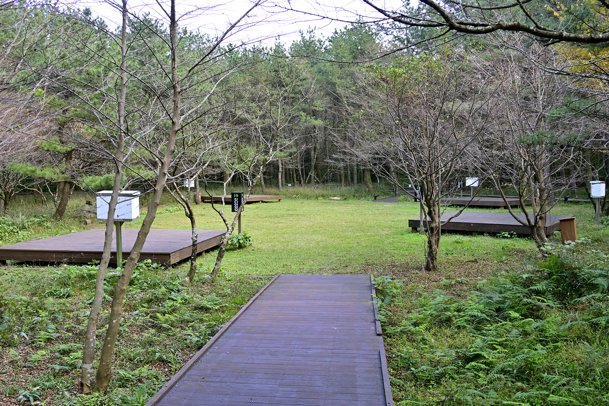 붉은오름 자연휴양림 숲속 야영장 4번째 이미지