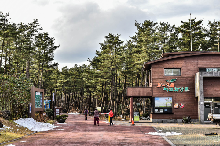 붉은오름 자연휴양림 숲속 야영장 대표 이미지