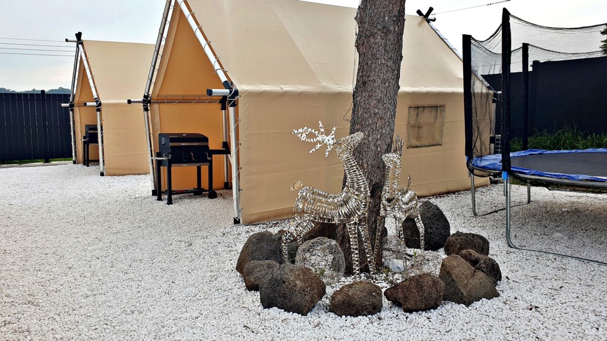 조이포레 19번째 이미지