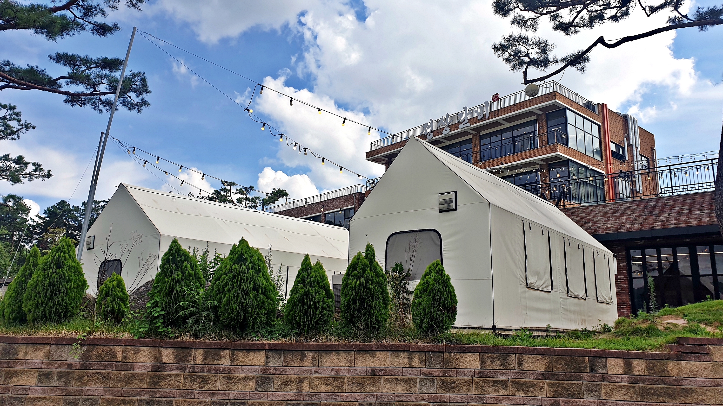 숯숯 6번째 이미지