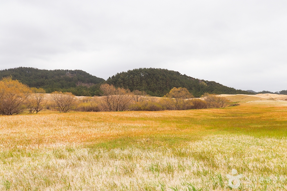 구름포해수욕장카라반