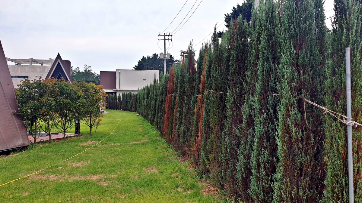 캠프 해놀 12번째 이미지