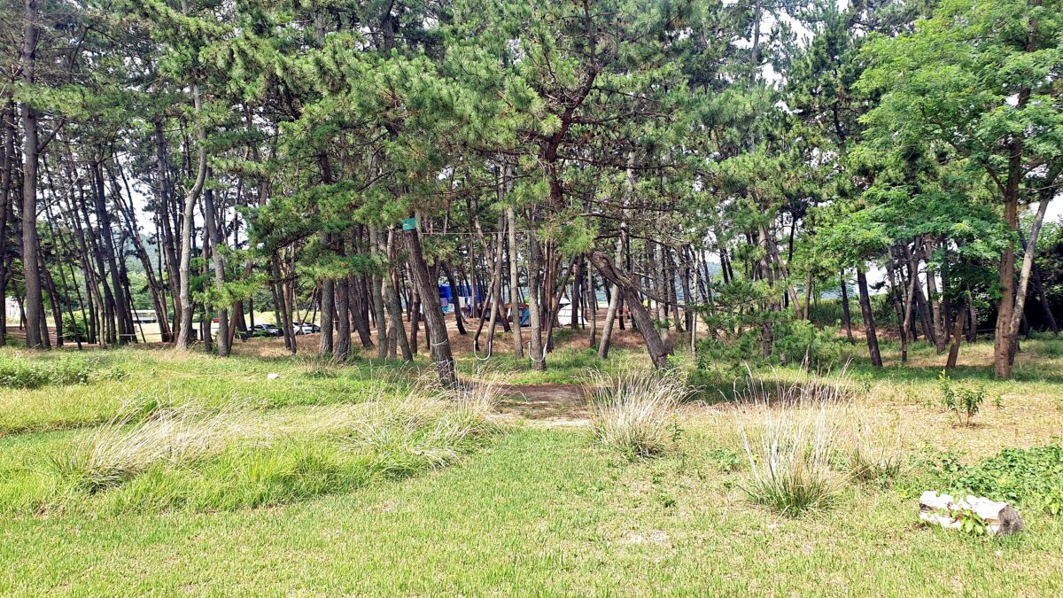 캠프 해놀 32번째 이미지