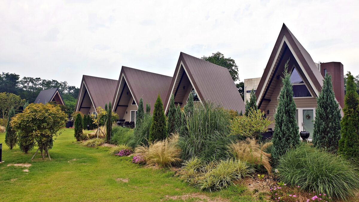 캠프 해놀 13번째 이미지