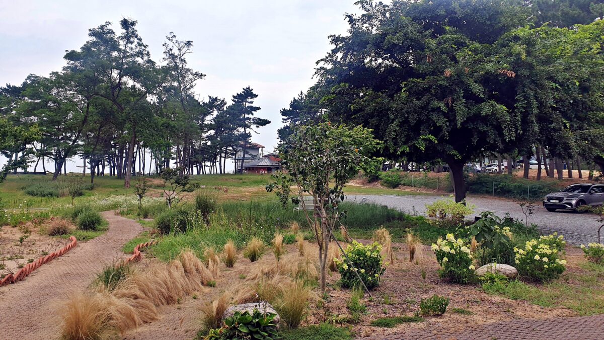 캠프 해놀 26번째 이미지