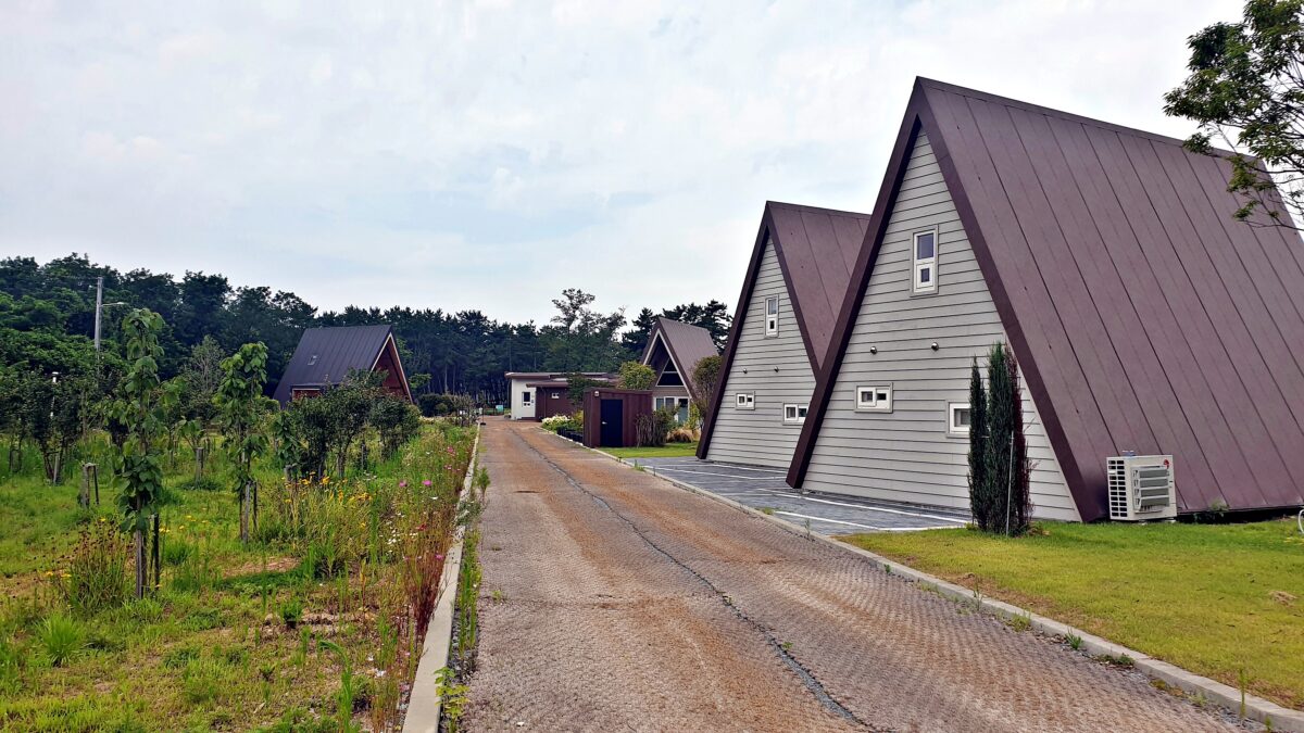 캠프 해놀 11번째 이미지