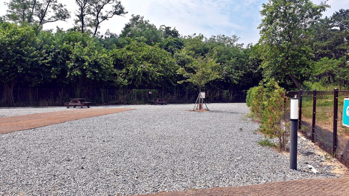 캠프 해놀 35번째 이미지