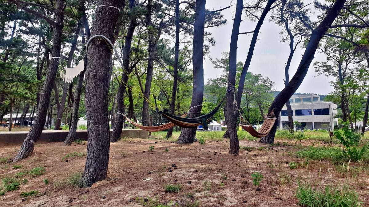 캠프 해놀 31번째 이미지