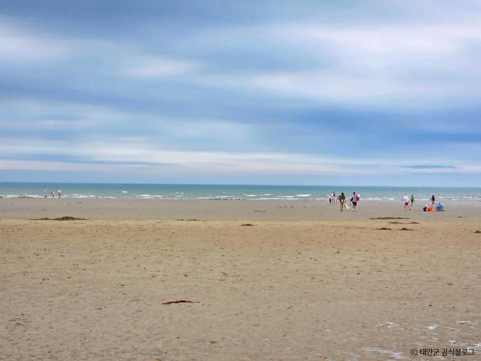 캠핑스테이 청포대