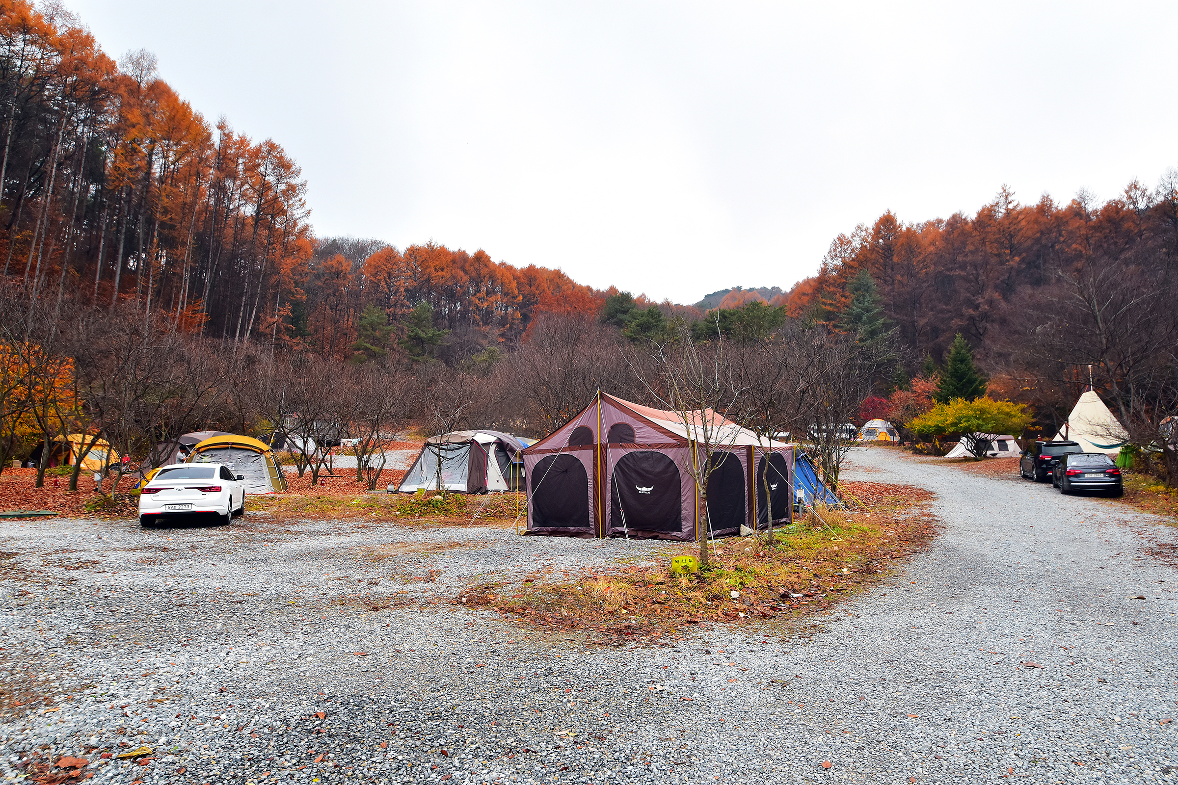 LAFORESTA(라포레스타) 17번째 이미지