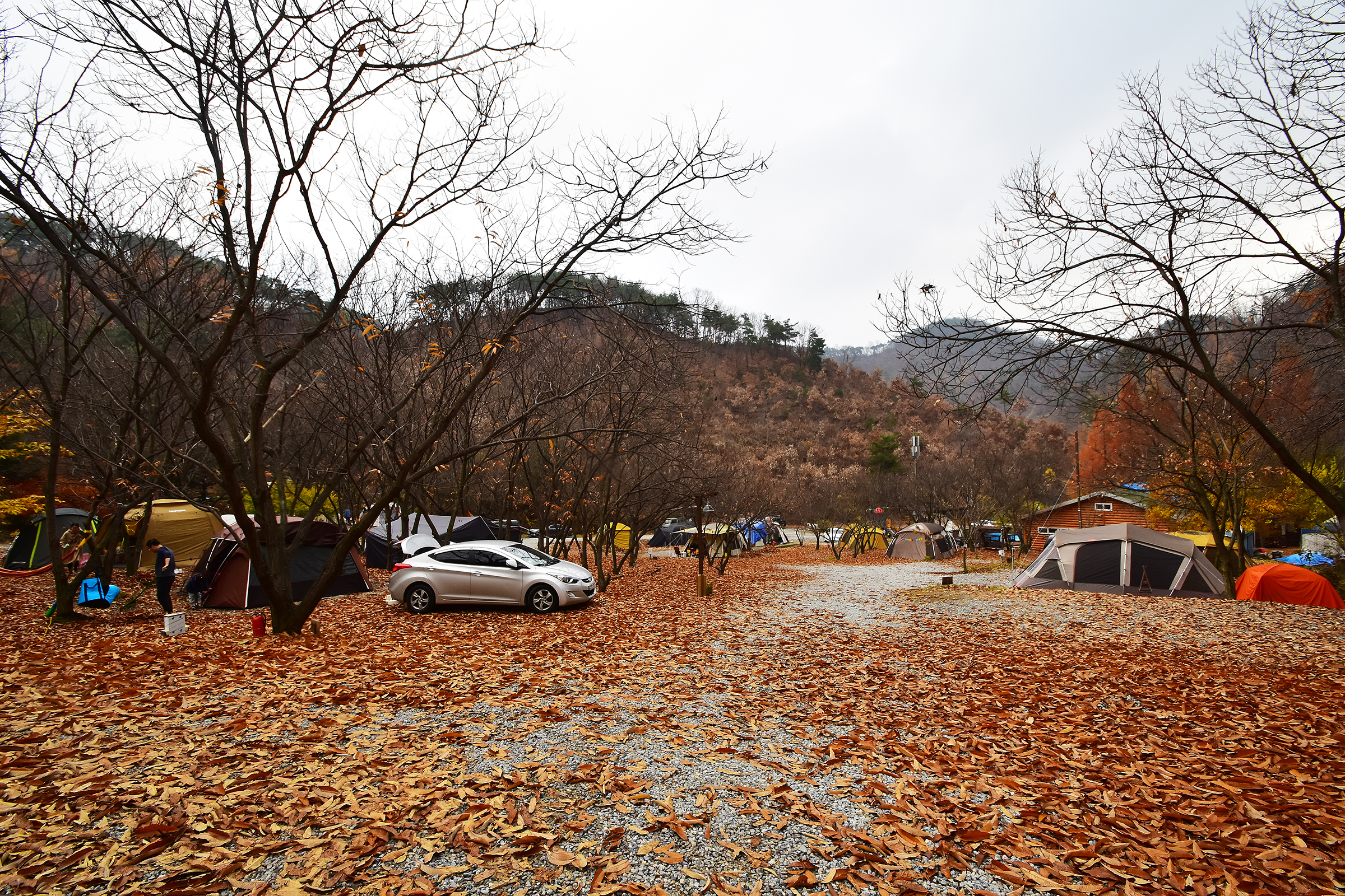 LAFORESTA(라포레스타) 24번째 이미지