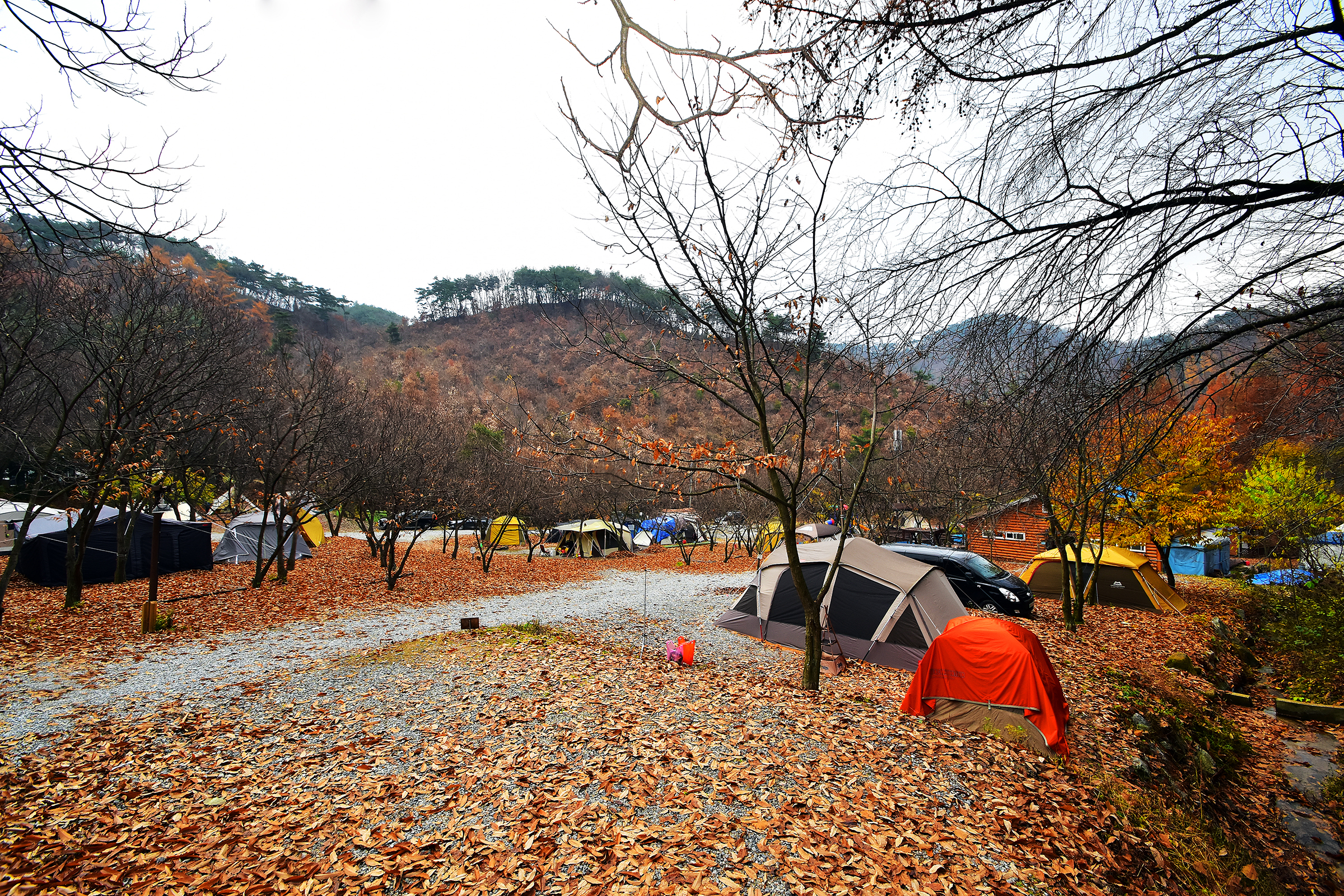 LAFORESTA(라포레스타) 15번째 이미지