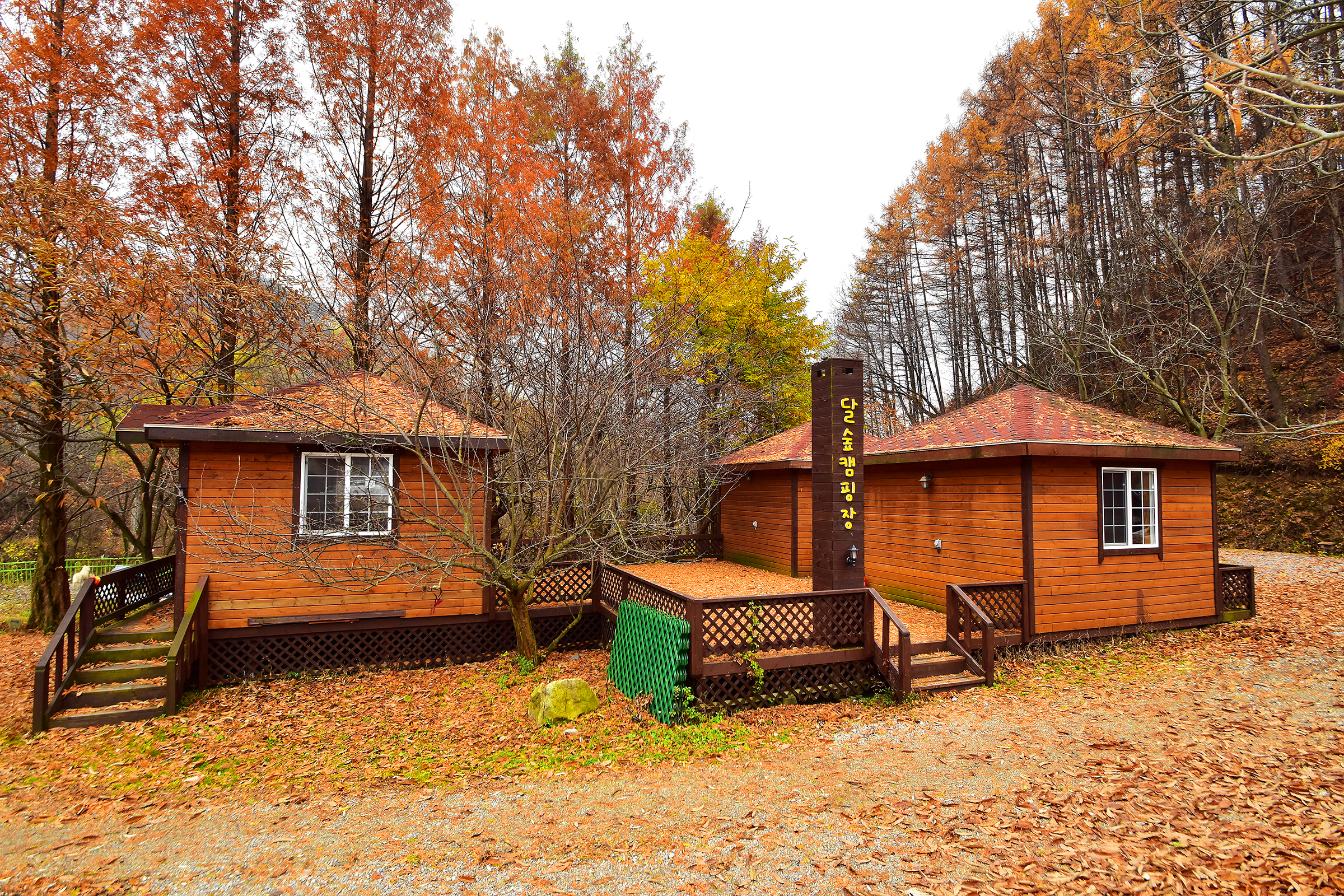 LAFORESTA(라포레스타) 7번째 이미지