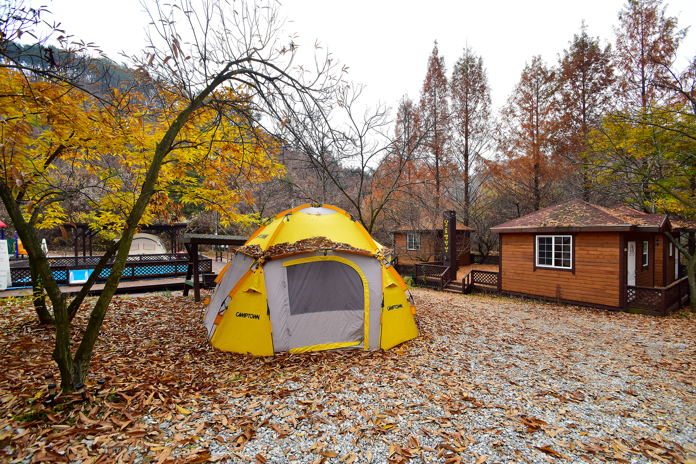 LAFORESTA(라포레스타) 20번째 이미지