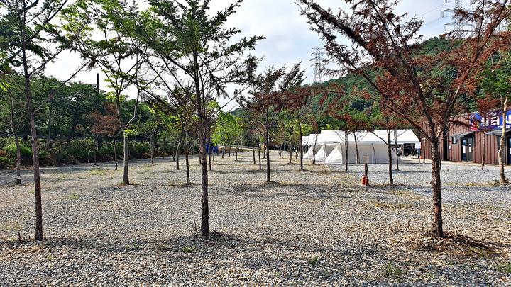 [충청북도 진천군] 워터사이드 캠핑장 – 백곡천 옆 넓고 깨끗한 워터사이드 캠핑장