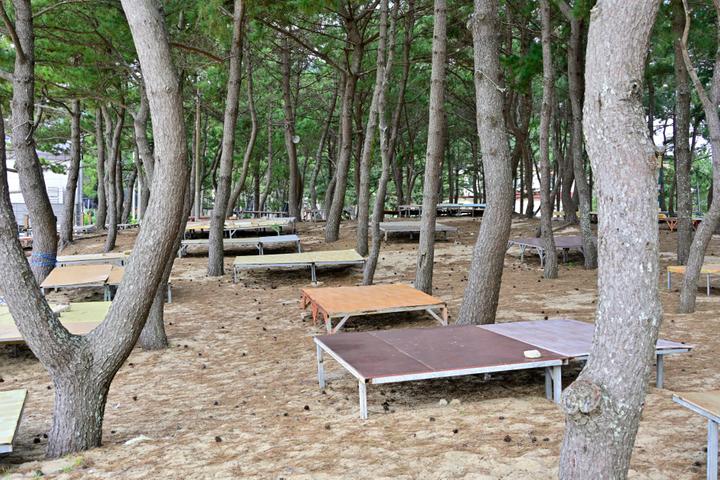 [전라남도 완도군] 명사십리제2야영장 – 여름에만 만날 수 있는 방풍림 속 해변 캠핑