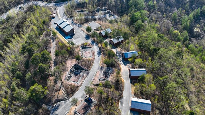 [강원특별자치도 태백시] 매봉산 천상의 숲 – 자연과 쉼을 만나는 천상의 숲