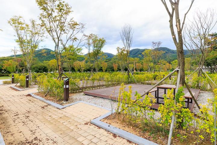 [전북특별자치도 정읍시] 내장산국립공원 내장호야영장 – 다양한 시설이 마련된 대규모 캠핑장