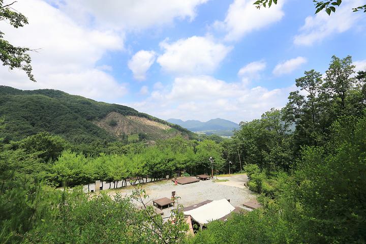 [충청북도 충주시] 행복숲체험원 오토캠핑장 – 자연 속 다양한 체험이 가능한 오토캠핑장