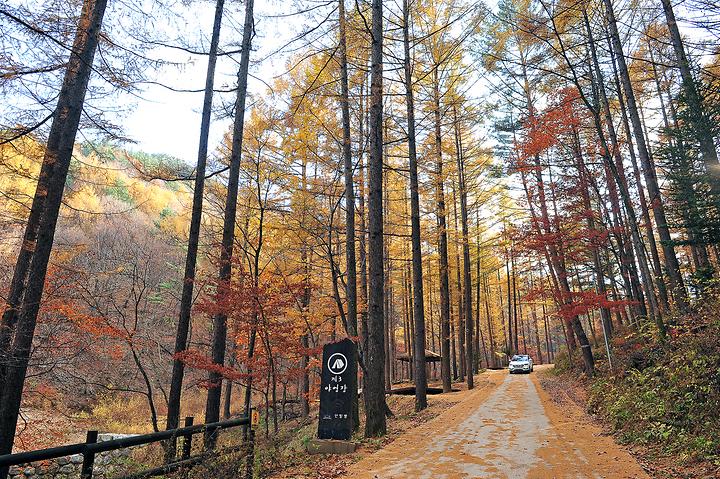 [경상북도 봉화군] 국립청옥산자연휴양림제1야영장