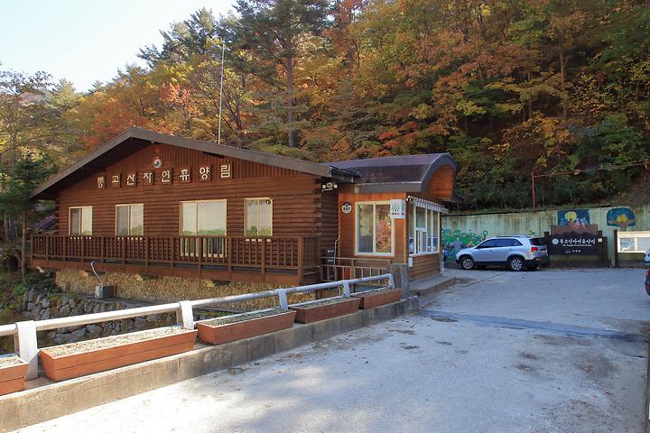 [경상북도 울진군] 통고산 자연휴양림야영장 – 자연 그대로의 휴양림에서 즐기는 캠핑