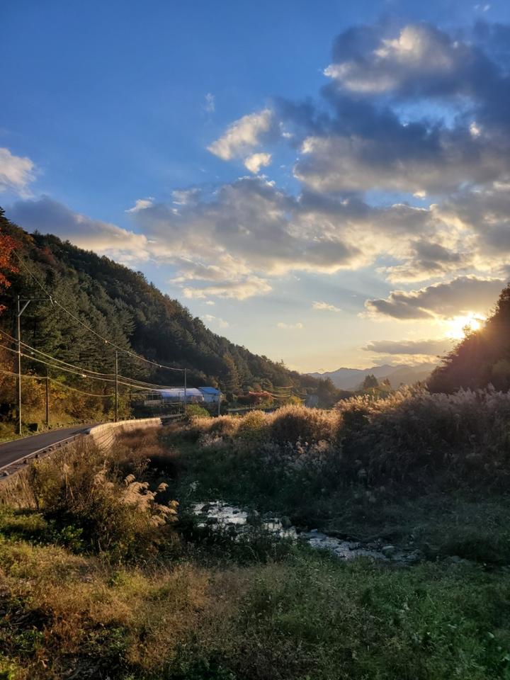 [강원도 영월군] 명마동 캠핑장 – 조용하고 한적한 야영장