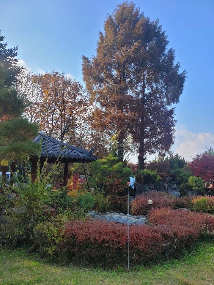 [충청남도 금산군] 금산만악리수목원 오토캠핑장