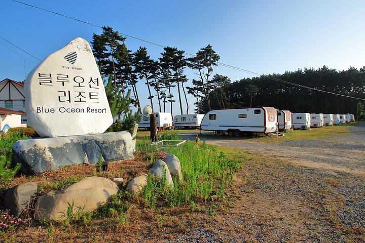 [충청남도 태안군] 몽산포 홀리데이파크 – 몽산포 해변을 배경으로 펼쳐진 카라반 캠핑장