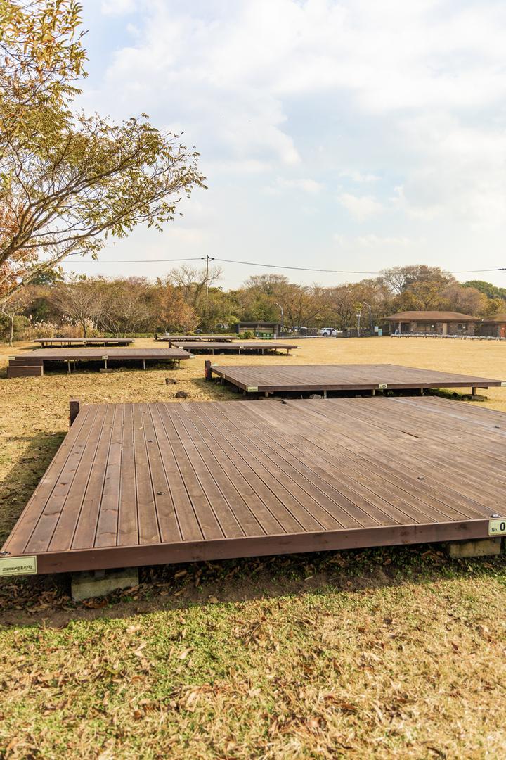 [제주특별자치도 제주시] 교래자연휴양림야영장 – 제주 천연 원시림 속에서 즐기는 저연 체험형 캠핑장