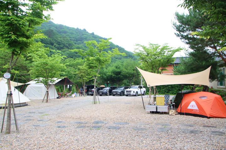 [강원도 평창군] 캠프 고토일 – 흥정계곡을 품은 개별 샤워실·화장실