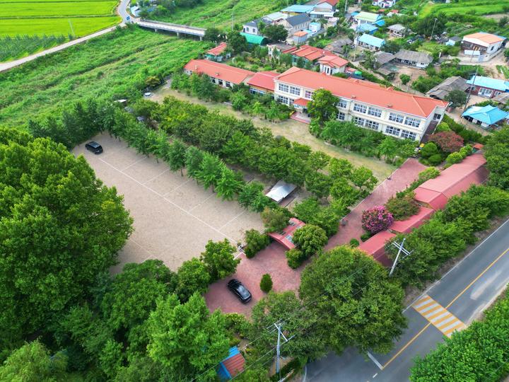 [경상북도 포항시] 화봉캠핑클럽 – 아름드리 플라타너스 나무 아래, 몽돌 오토캠핑과 데크 캠핑을 즐길 수 있는
