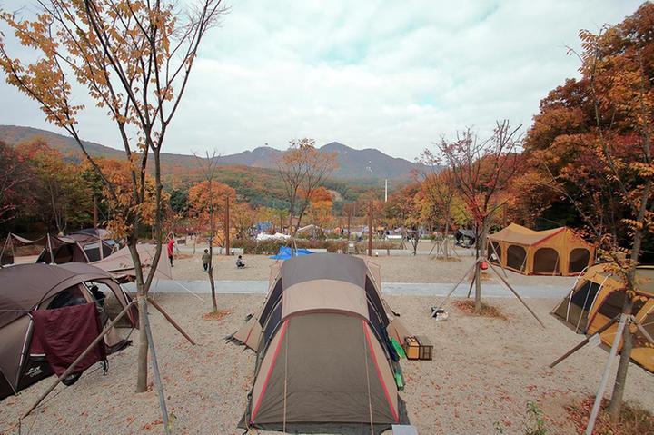 [경기도 군포시] 초막골생태공원 느티나무야영장 – 일반캠핑과 글램핑이 함께하는 공간