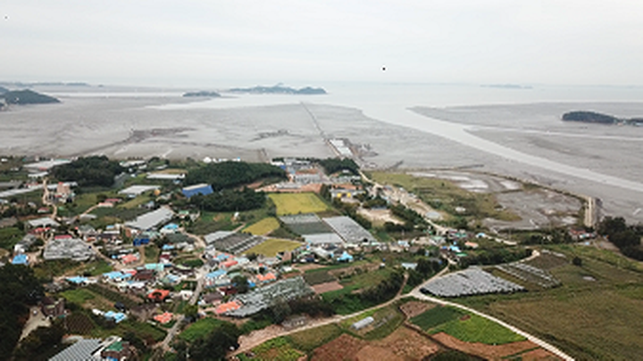 [경기도 안산시] 선감 캠핑장 – 도심 가까이에서 갯벌체험·캠핑·자연휴식을 한 번에 즐길 수 있는 바다 마을