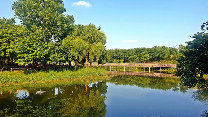 [경기도 평택시] 소풍정원 캠핑장 – 수변공원 속 테마정원과 산책로를 따라 자연을 즐기는 평택시 공공캠핑장