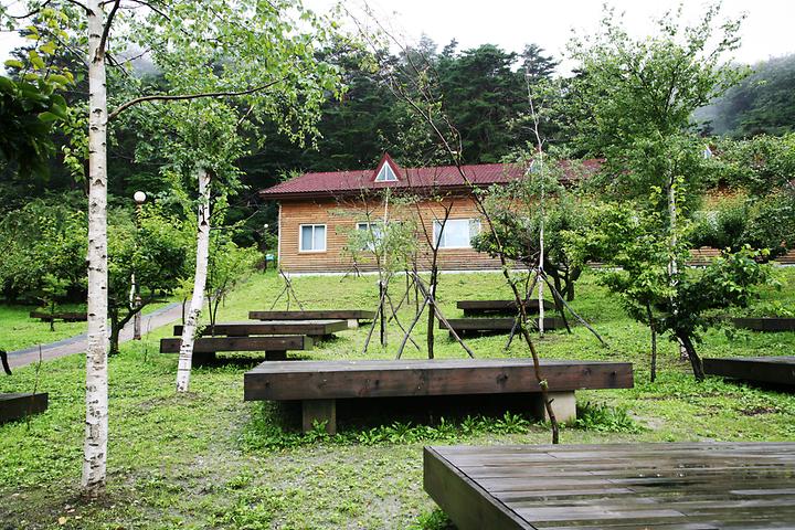 [강원특별자치도 강릉시] 대관령자연휴양림야영장 – 자연휴양림내 야영장