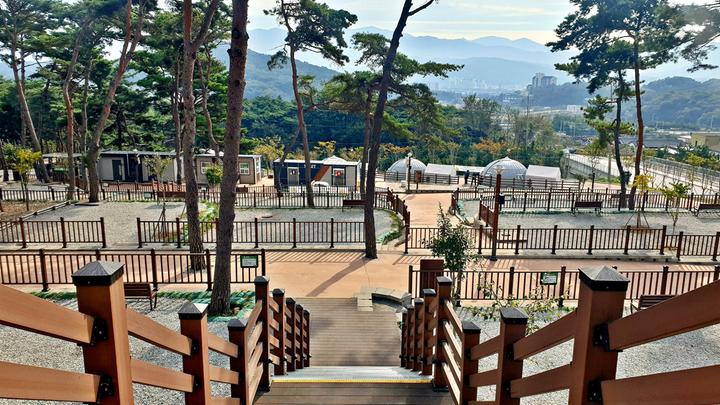 [전라북도 남원시] 교룡공원 숲속야영장 – 도심에서 편하게 찾아가는 남원시 관리 소나무 숲속 힐링 야영장