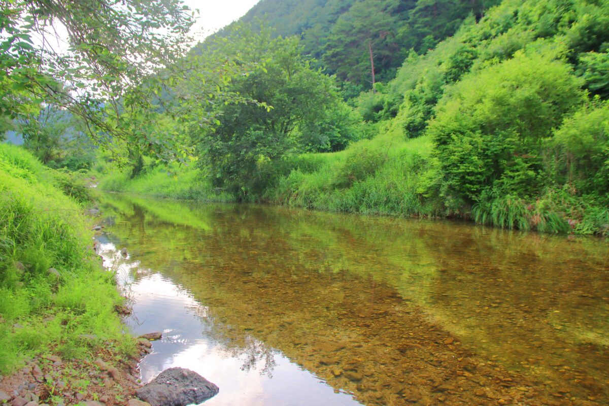구학희망캠핑장 9번째 이미지