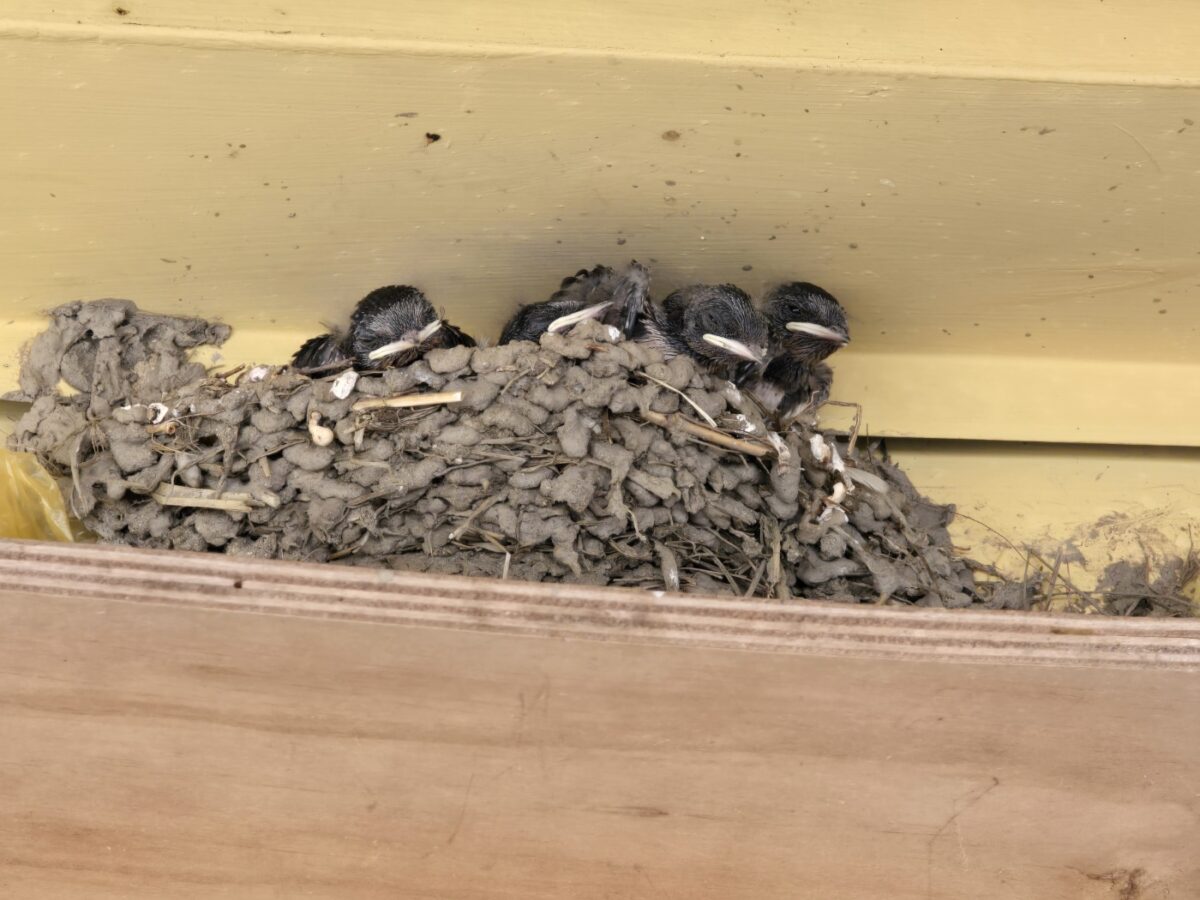 내안에 쉼 캠핑파크 15번째 이미지