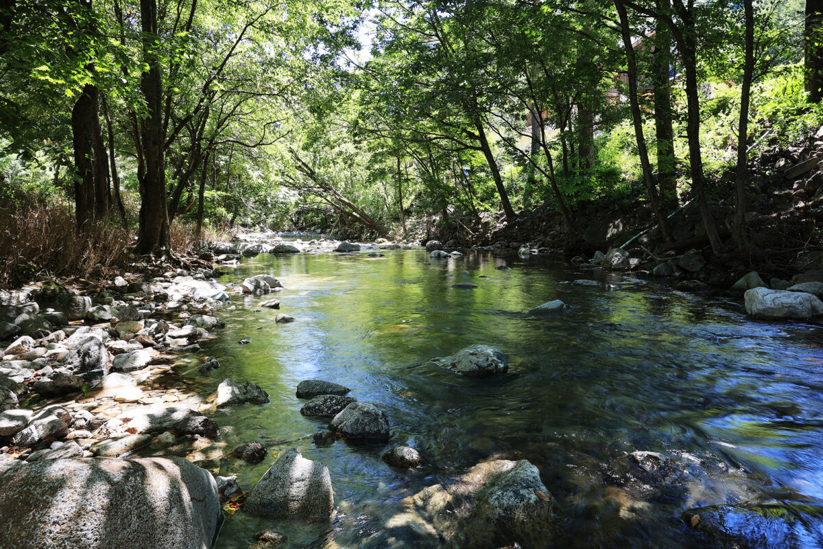 평창 자연속쉼표캠핑장 6번째 이미지