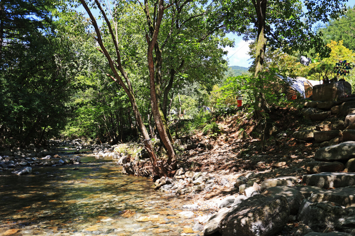 평창 자연속쉼표캠핑장 7번째 이미지