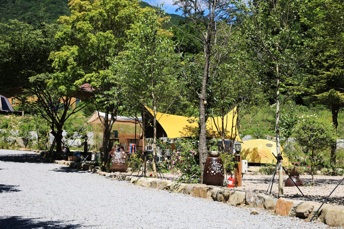 평창 자연속쉼표캠핑장 5번째 이미지