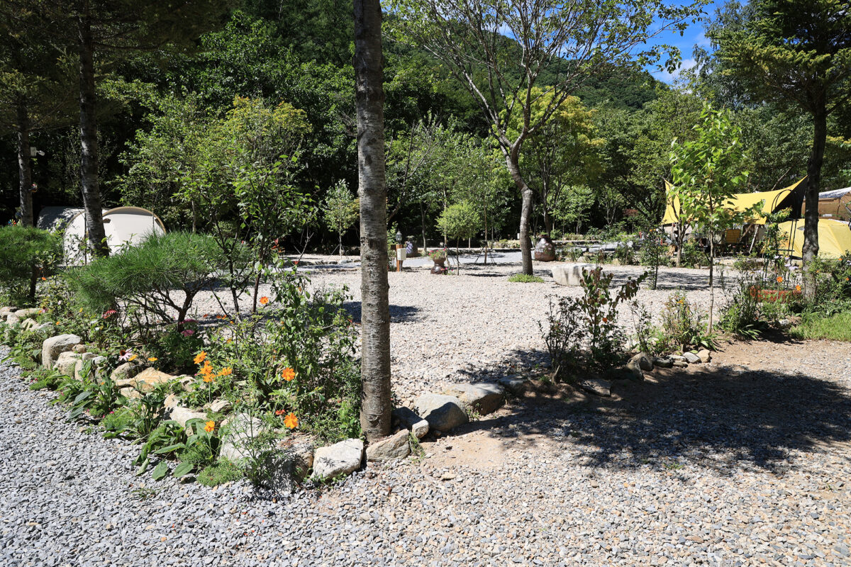 평창 자연속쉼표캠핑장 16번째 이미지