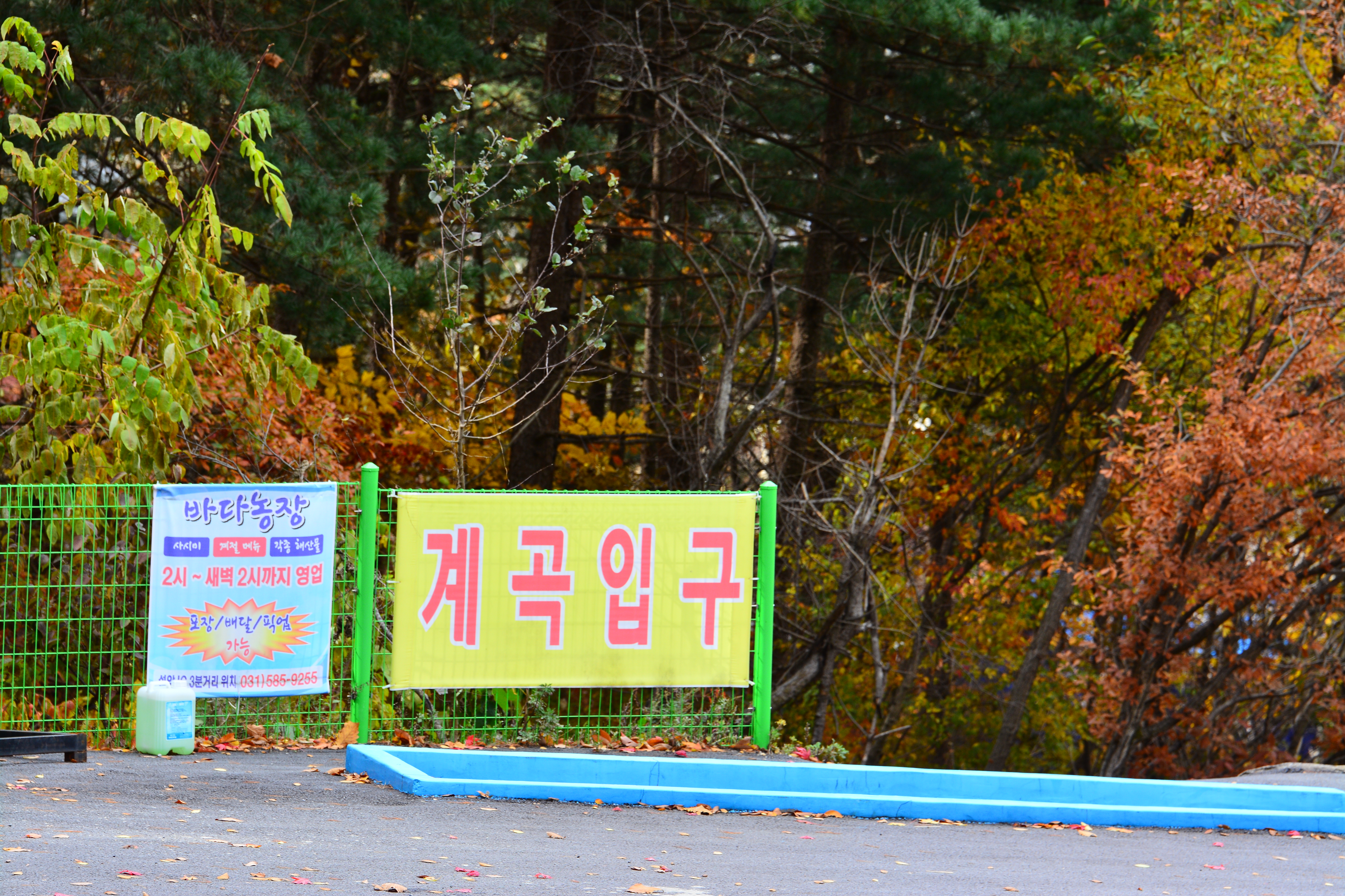 유명산힐링캠프 10번째 이미지